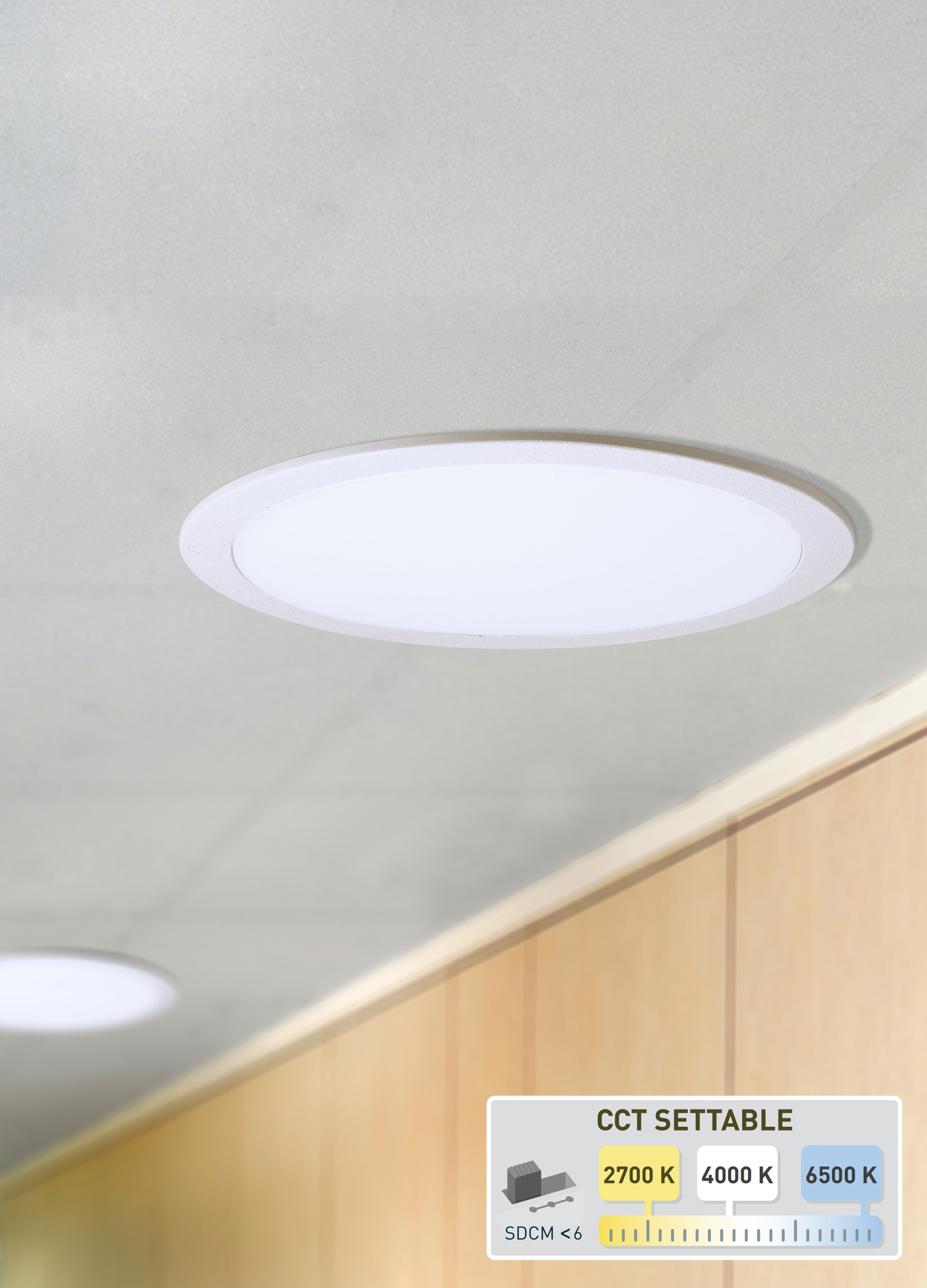 Downlight LED IP65 10W CCT, Fumagalli